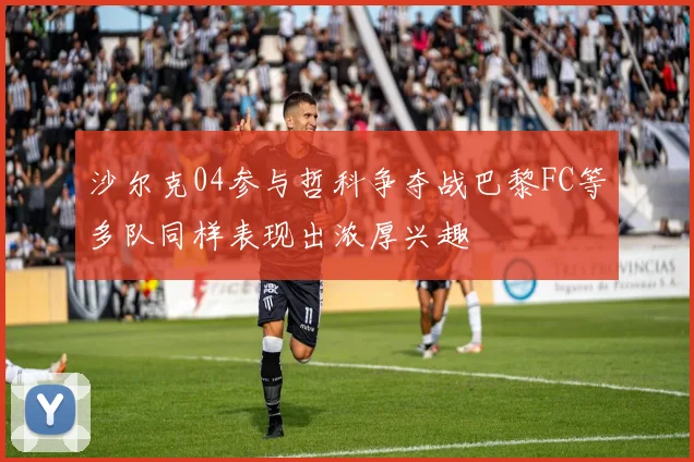 沙尔克04参与哲科争夺战巴黎FC等多队同样表现出浓厚兴趣