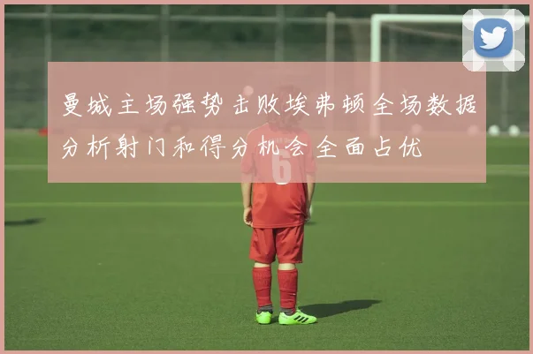 曼城主场强势击败埃弗顿全场数据分析射门和得分机会全面占优