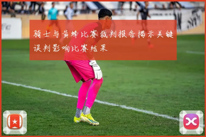 骑士与黄蜂比赛裁判报告揭示关键误判影响比赛结果