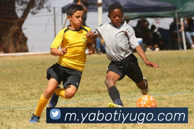 亚博体育服务体系